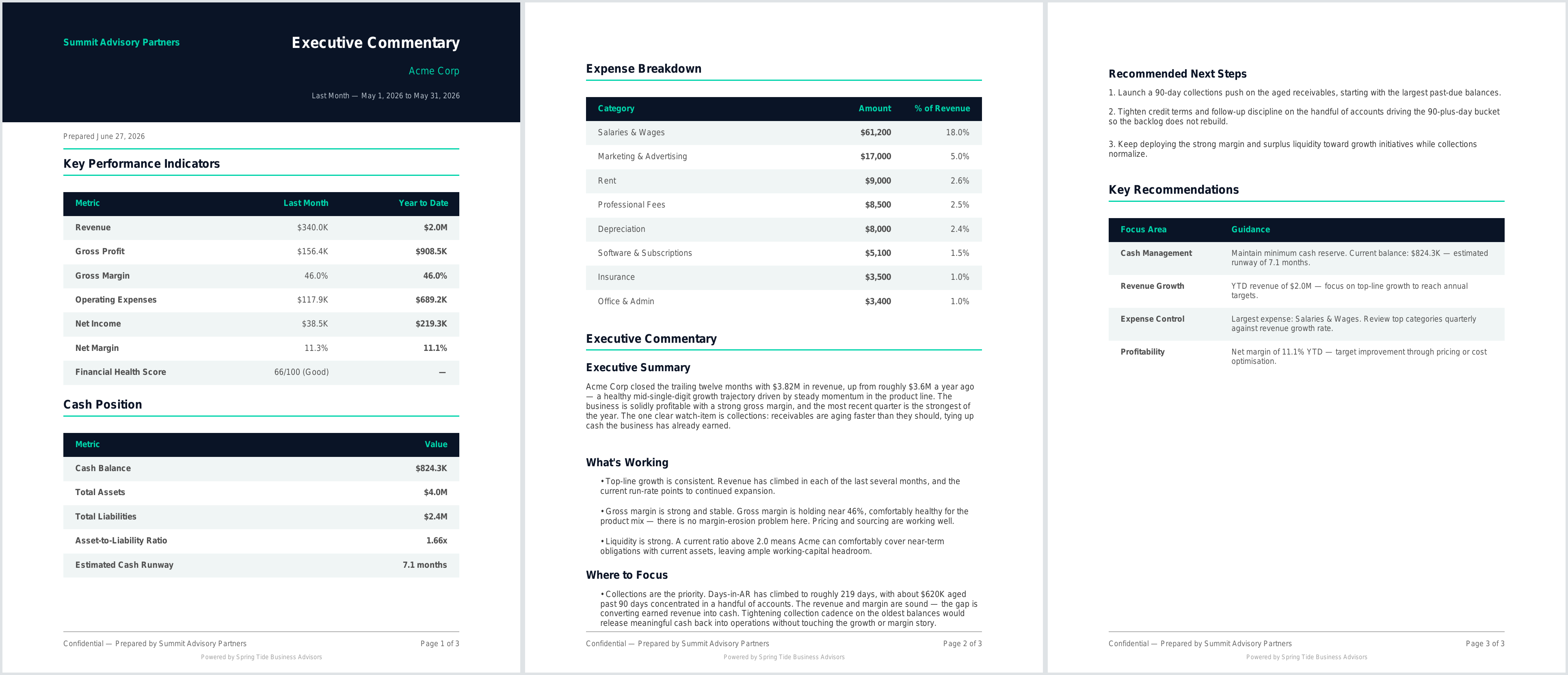 The downloaded CFO Report — KPIs, cash position, expense breakdown, and AI executive commentary (demo data)